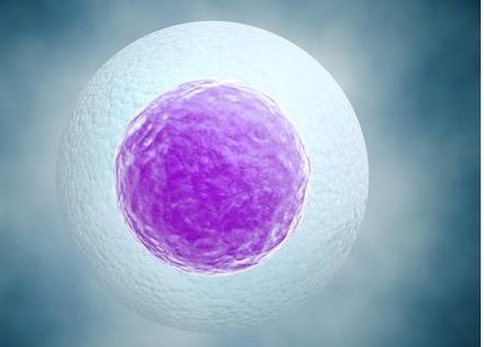 2026年想去龙井市做试管婴儿需要准备哪些事？详细收费明细一览