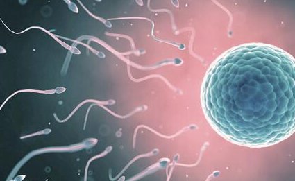 女性做三代试管婴儿对肾的伤害大吗？