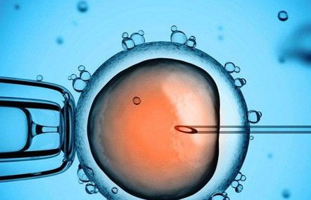 子宫内膜结核做得了试管婴儿吗？