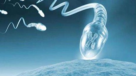 染色体易位在六盘水市妇幼保健院可以做三代试管吗？染色体平衡易位还能生健康的宝宝吗？