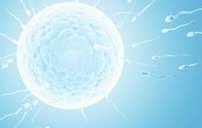 2026山西煤炭医院试管婴儿收费明细分享，贵不贵看完便知