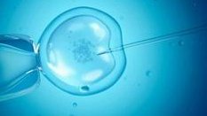 试管婴儿移植完剩余的三级胚胎能特需给熟人吗？